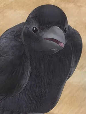Нет
